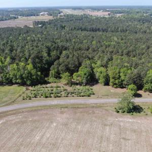 Photo #15 of 1811 Tranquil Rd., Mullins, SC 18.9 acres