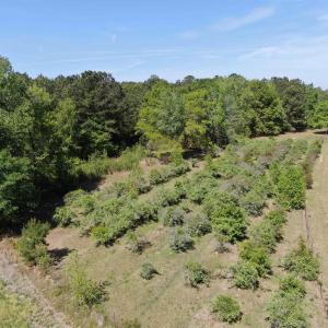 Photo #27 of 1811 Tranquil Rd., Mullins, SC 18.9 acres