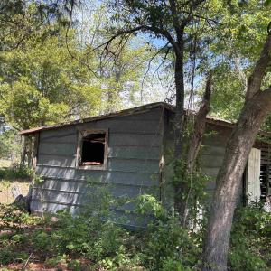 Photo #25 of 1811 Tranquil Rd., Mullins, SC 18.9 acres