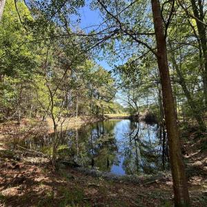 Photo #16 of 1811 Tranquil Rd., Mullins, SC 18.9 acres