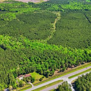 Photo #7 of TBD Highway 9, Loris, SC 17.0 acres