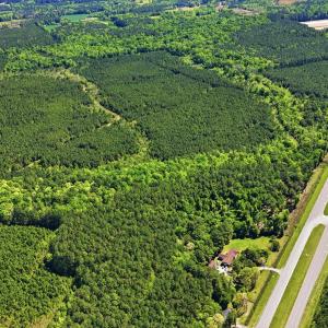 Photo #8 of TBD Highway 9, Loris, SC 17.0 acres