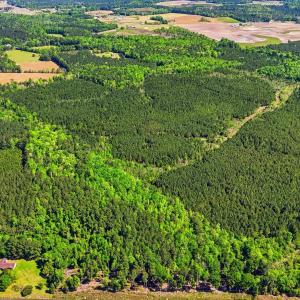 Photo #2 of TBD Highway 9, Loris, SC 17.0 acres