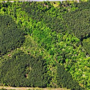 Photo #11 of TBD Highway 9, Loris, SC 17.0 acres