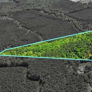 Photo #10 of TBD Highway 9, Loris, SC 17.0 acres