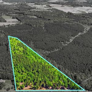 Photo #3 of TBD Highway 9, Loris, SC 17.0 acres