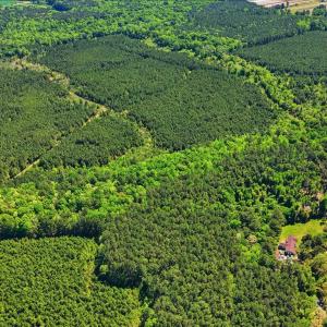Photo #9 of TBD Highway 9, Loris, SC 17.0 acres