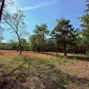 Photo #6 of 2400 Sunny Heights Rd., Longs, SC 2.0 acres