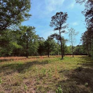 Photo #9 of 2400 Sunny Heights Rd., Longs, SC 2.0 acres