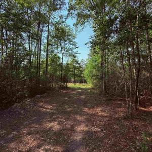 Photo #4 of 2400 Sunny Heights Rd., Longs, SC 2.0 acres