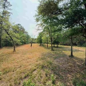 Photo #7 of 2400 Sunny Heights Rd., Longs, SC 2.0 acres