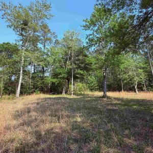 Photo #10 of 2400 Sunny Heights Rd., Longs, SC 2.0 acres