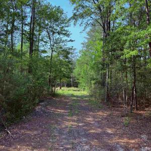 Photo #5 of 2400 Sunny Heights Rd., Longs, SC 2.0 acres