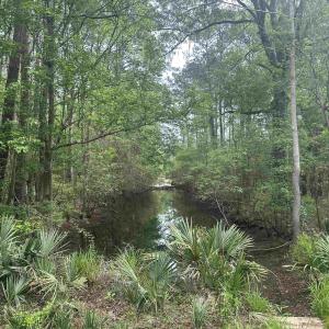 Photo #3 of TBD Creekside Dr., Myrtle Beach, SC 3.4 acres