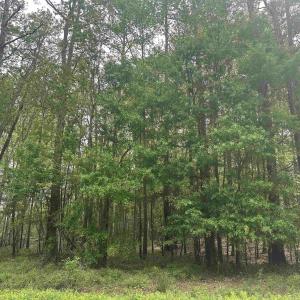 Photo #2 of TBD Creekside Dr., Myrtle Beach, SC 3.4 acres