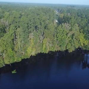 Photo #2 of TBD Browns Ferry Rd., Georgetown, SC 48.0 acres