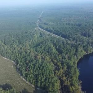 Photo #4 of TBD Browns Ferry Rd., Georgetown, SC 48.0 acres