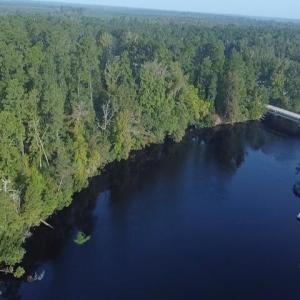 Photo #3 of TBD Browns Ferry Rd., Georgetown, SC 48.0 acres