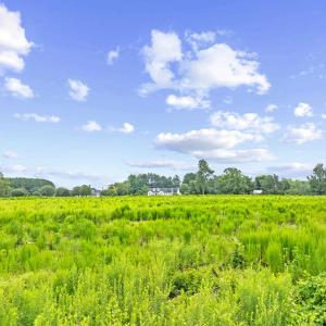 Photo #3 of TBD Lot 4 St Joseph Dr, Green Sea, SC 2.5 acres