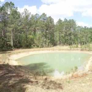 Photo #18 of 1267 School Bus Rd, Jamestown, SC 133.7 acres