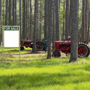 Photo #3 of 1267 School Bus Rd, Jamestown, SC 133.7 acres
