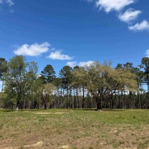 Photo #7 of 1267 School Bus Rd, Jamestown, SC 133.7 acres