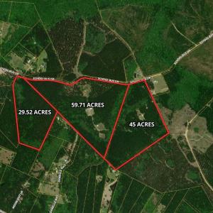 Photo #1 of 1267 School Bus Rd, Jamestown, SC 133.7 acres