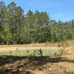 Photo #24 of 1267 School Bus Rd, Jamestown, SC 133.7 acres