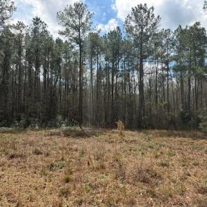 Photo #19 of 1267 School Bus Rd, Jamestown, SC 133.7 acres