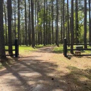Photo #2 of 1267 School Bus Rd, Jamestown, SC 133.7 acres
