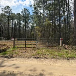 Photo #16 of 1267 School Bus Rd, Jamestown, SC 133.7 acres
