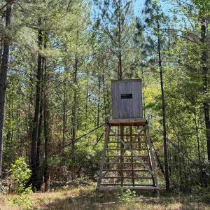 Photo #20 of 1267 School Bus Rd, Jamestown, SC 133.7 acres
