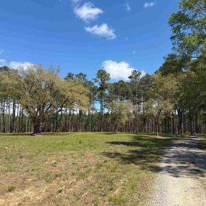 Photo #6 of 1267 School Bus Rd, Jamestown, SC 133.7 acres