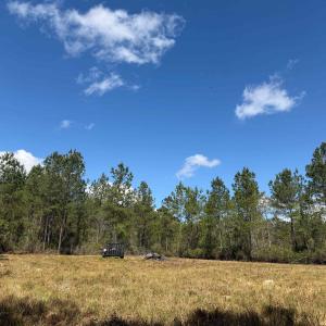 Photo #5 of 1267 School Bus Rd, Jamestown, SC 133.7 acres