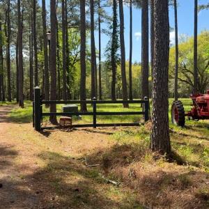 Photo #2 of 1267 School Bus Rd, Jamestown, SC 133.7 acres