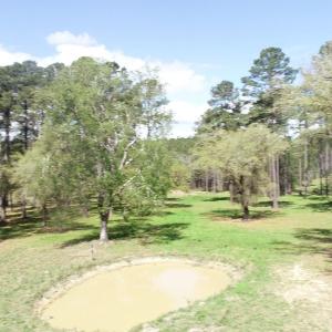 Photo #14 of 1267 School Bus Rd, Jamestown, SC 133.7 acres