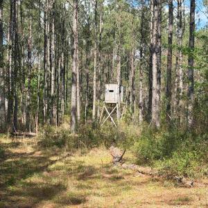 Photo #18 of 1267 School Bus Rd, Jamestown, SC 133.7 acres