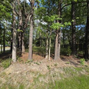 Photo #4 of 1408 Green St., Conway, SC 0.2 acres