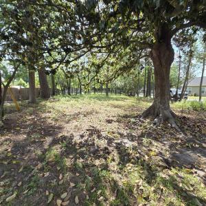 Photo #2 of 1408 Green St., Conway, SC 0.2 acres