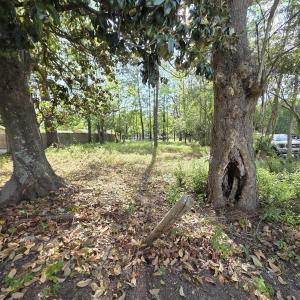 Photo #3 of 1408 Green St., Conway, SC 0.2 acres