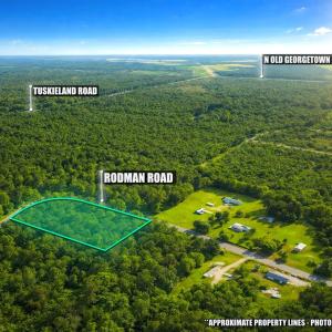 Photo #9 of TBD Rodman Rd., Lake City, SC 2.0 acres