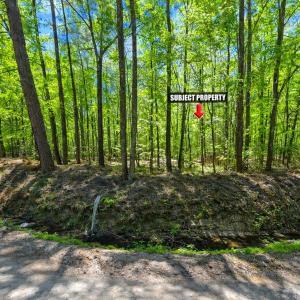 Photo #3 of TBD Rodman Rd., Lake City, SC 2.0 acres