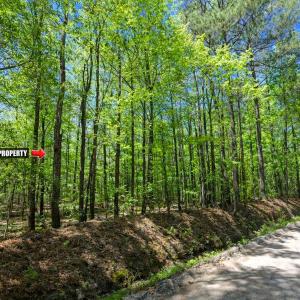 Photo #7 of TBD Rodman Rd., Lake City, SC 2.0 acres