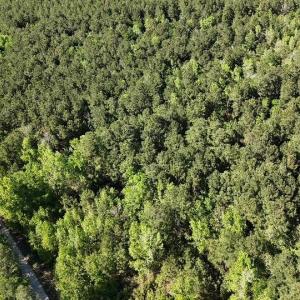 Photo #2 of TBD Cambridge Rd., Marion, SC 1.0 acres