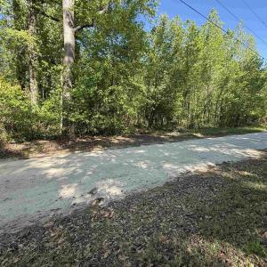 Photo #3 of TBD Cambridge Rd., Marion, SC 1.0 acres