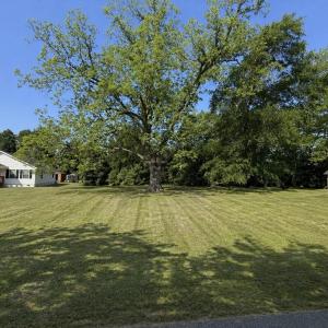 Photo #1 of TBD Smith Ave., Mullins, SC 0.1 acres