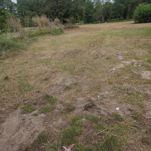 Photo #2 of TBD Twilight Rd., Dillon, SC 1.4 acres