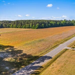 Photo #14 of TBD Ray Rd., Hemingway, SC 14.0 acres