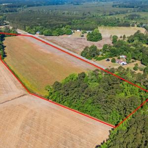 Photo #2 of TBD Ray Rd., Hemingway, SC 14.0 acres