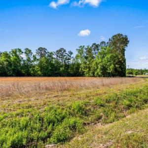 Photo #18 of TBD Ray Rd., Hemingway, SC 14.0 acres